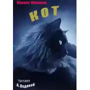 Постер книги Кот