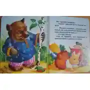 Постер книги Терем мышки