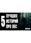 Автор Неизвестен - Страшные истории про лес