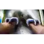 Постер книги Водосток