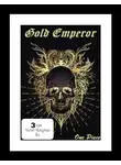 Had a dream i - One Piece: Gold Emperor [том 3]