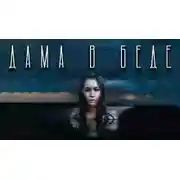 Постер книги Дама в беде