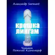 Постер книги Крошка лингам