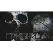 Постер книги Грибница