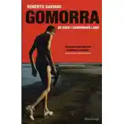 Постер книги Гоморра