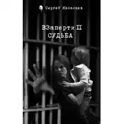 Постер книги ВЗаперти 2. Судьба