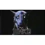 Постер книги Шико