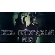 Постер книги Весь прекрасный мир