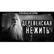 Постер книги Огнь