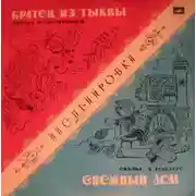 Постер книги Снежный дом