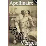 Постер книги Одиннадцать тысяч палок, или Любовные похождения господаря