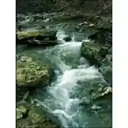 Постер книги Пилигрим