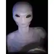 Постер книги Молитва на верхнем мунглише