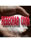 Илья Масодов - Небесная соль