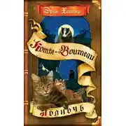 Постер книги Полночь