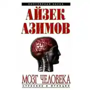Постер книги Человеческий мозг. От аксона до нейрона