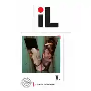 Постер книги V.