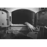 Постер книги Крематорий