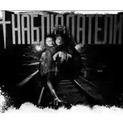 Постер книги Наблюдатели