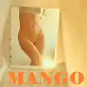 Постер книги MANGO