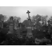 Постер книги Кладбище