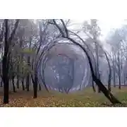 Постер книги После Армагеддона