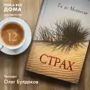 Постер книги Страх