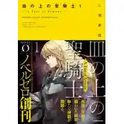 Постер книги Паладин на блюде -История брони-