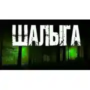 Постер книги Шалыга