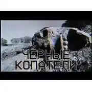 Постер книги Чёрные копатели