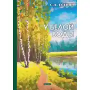 Постер книги У Белой воды