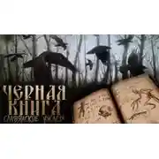 Постер книги Чёрная книга Дикого леса