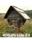Ирина Сёмина - Мемуары Бабы Яги