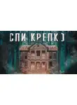 Игорь Шанин - Волчок