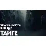 Постер книги Ямщик