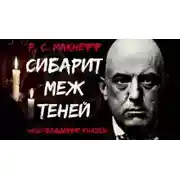 Постер книги Сибарит меж теней