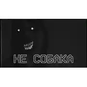 Постер книги Не собака
