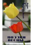 Кира Бородулина - Поэзия весны