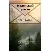 Постер книги Маленький роман
