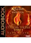 Инди Видум - Ступень третья. Том 1
