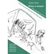 Постер книги Шило в мешке
