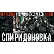 Постер книги Спиридоновка