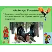 Постер книги Байка про тетерева