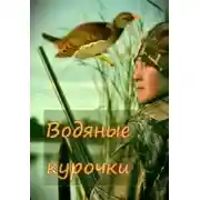 Постер книги Водяные курочки
