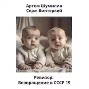 Постер книги Ревизор: возвращение в СССР 19
