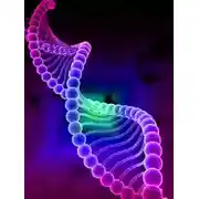 Постер книги ДНК