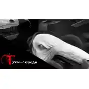 Постер книги Гуси-Лебеди