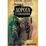 Постер книги Дорога в Сокольники