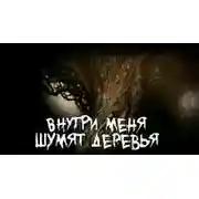 Постер книги Внутри меня шумят деревья
