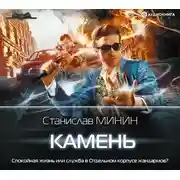 Постер книги Камень